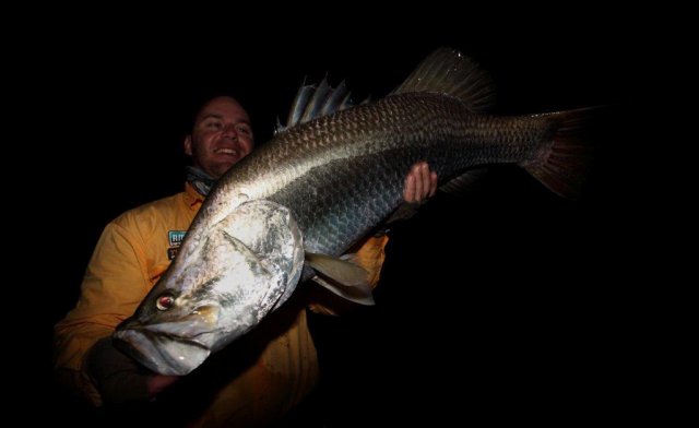 114cm Wild Barra From Fraser Island